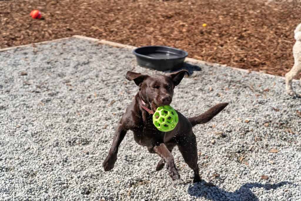 Daycare Photos(7)