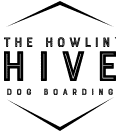 The Howlin' Hive